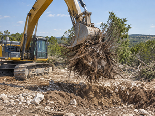 Cleared Texas Hill Country lot with stumps and roots removed, graded soil, and protected live oaks in the background.