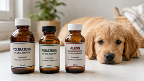 Hero comparison: Three medicine bottles labeled Toltrazuril, Ponazuril, and Albon beside a golden retriever puppy, illustrating coccidia treatment options
