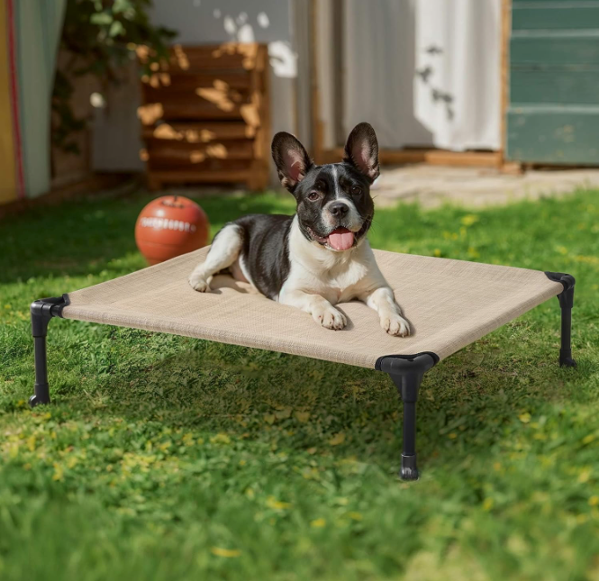 Elevated Dog Bed
