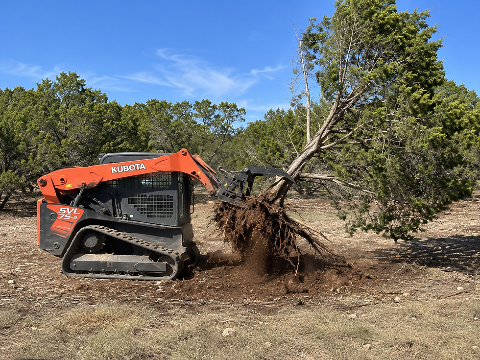 Orange Kubota SVL 75-2 excavator uprooting a tree in a forested area under a clear blue sky.