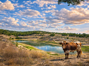 Aerial view of a Hill Country stock tank holding water on a Texas ranch property with cleared limestone terrain and native grass surroundings