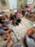 Families visiting a Bernedoodle litter during a puppy socialization event, helping raise confident, well-adjusted puppies through positive human interaction