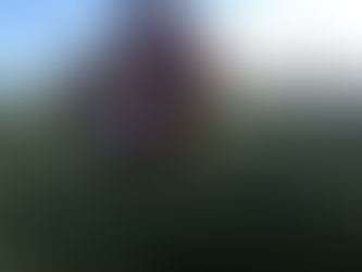 Why Upgrading Your Bike Won’t Make you a Better Rider