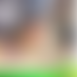 エッグフォールコンテスト