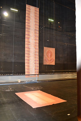 EXP_IND_2015_TNN de Nice (55).jpg