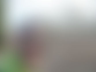 BRUNO E LA SUA WORLD FRANCIGENA ULTRAMARATHON