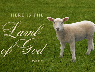 This Week in Worship: January 12, 2026 - January 18, 2026