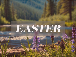 This Week in Worship: March 30, 2026 - April 5, 2026