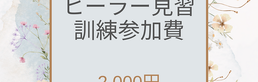 ヒーラー見習訓練参加費