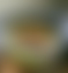 Keeping it Short and Sweet