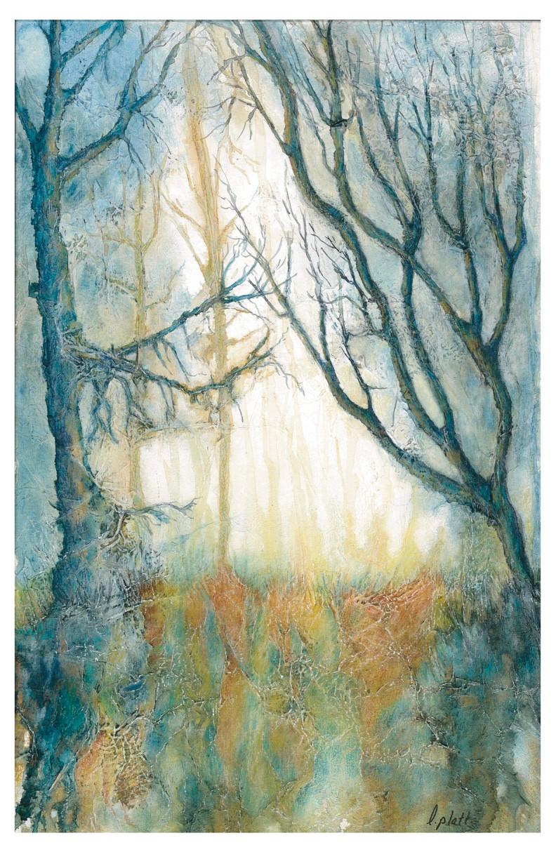 Woodland Sunrise