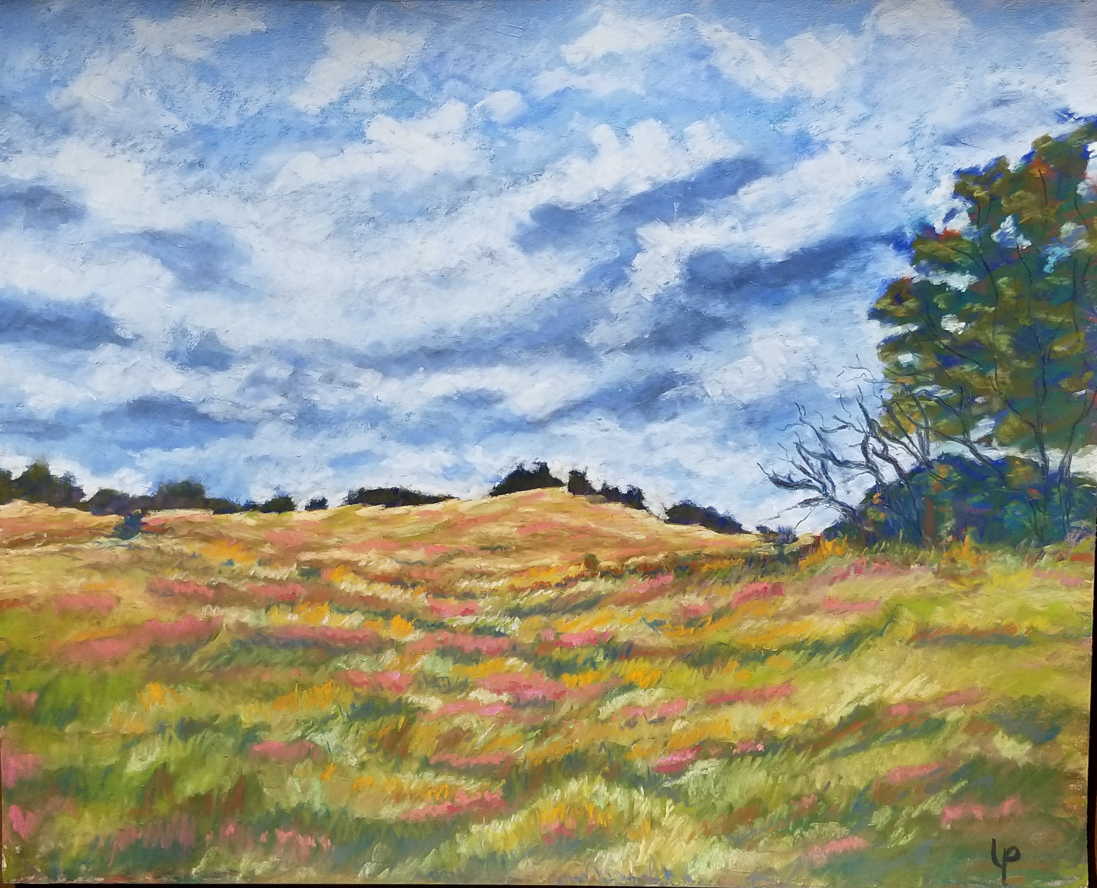 Autumn Afternoon