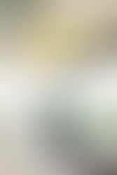 New "Must Have" Items