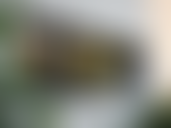 Comprehensive Window Services New Port Richey by Florida Wholesale Window & More LLC