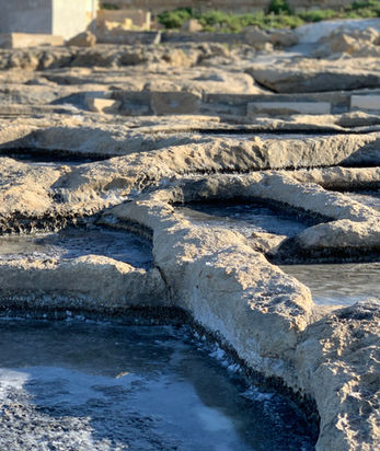 A close up shot of the sea salt drying in the beds of the ancient salt pans during the sea salt harvesting tour
