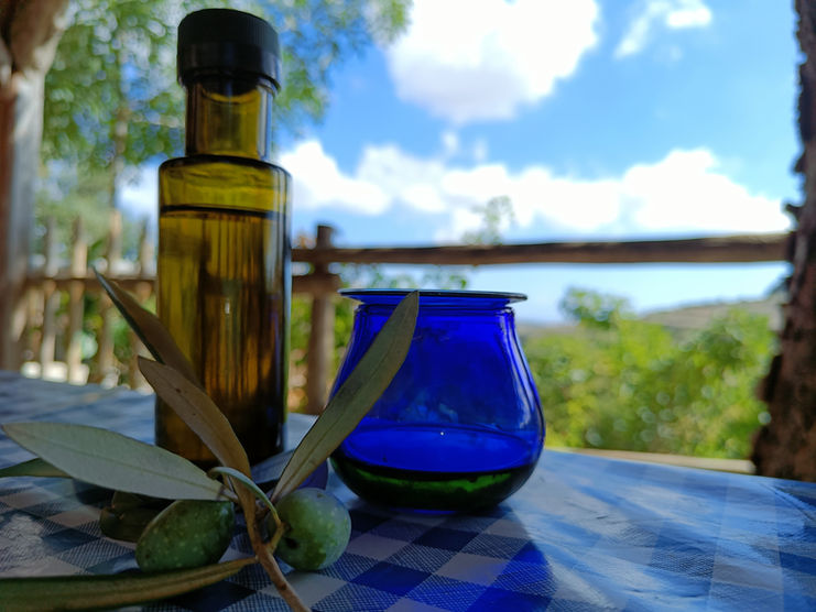 Extra virgin olive oil in a tasting cup during the olive grove experience