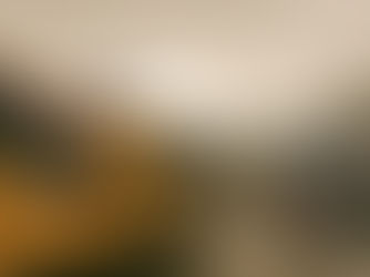 Corporate Catering in Oxford – USA-Themed Event for Tokamak Energy