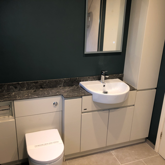 Toilet and sink