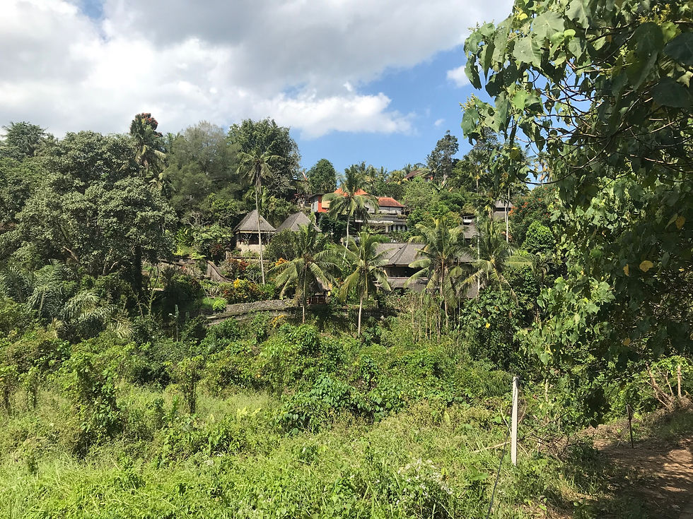 Campuhan-Ridge-Walk
