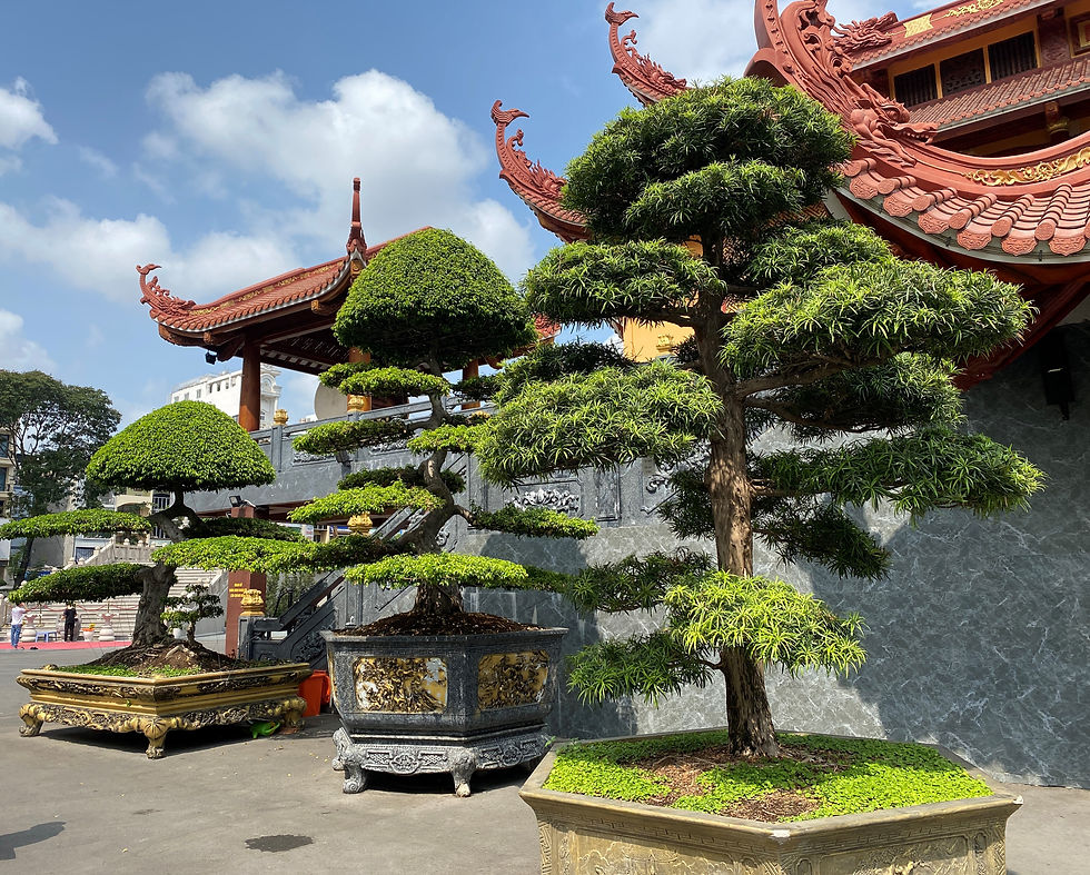 Temple in Saigon