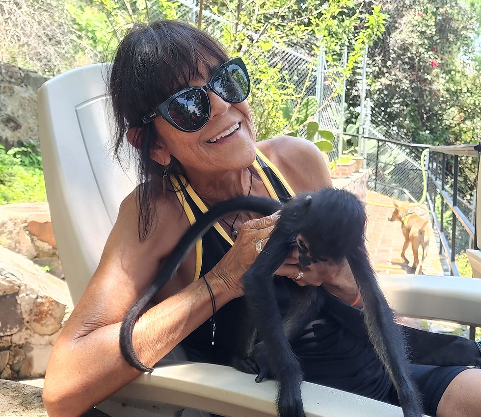 Monkeying around in Ajijic