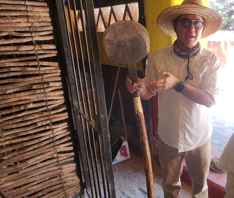 A jimador uses a sharp coa to chop the leaves away from the piña