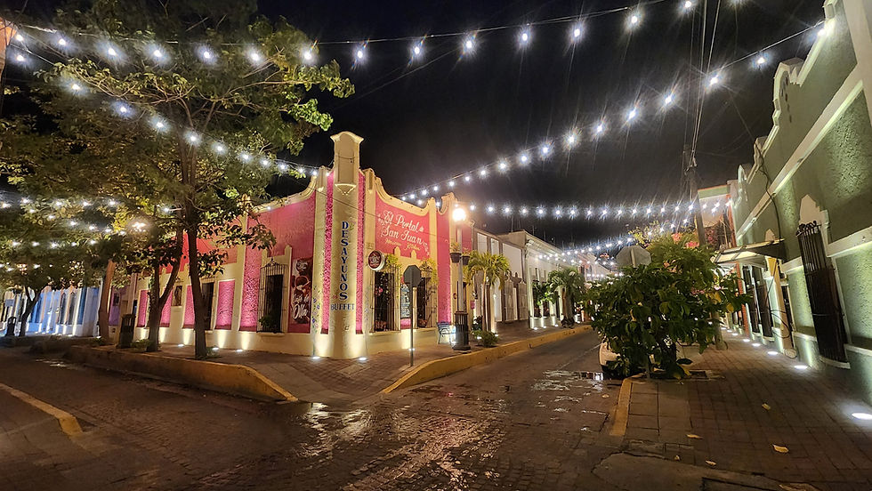 Lighting and architecture is lovely