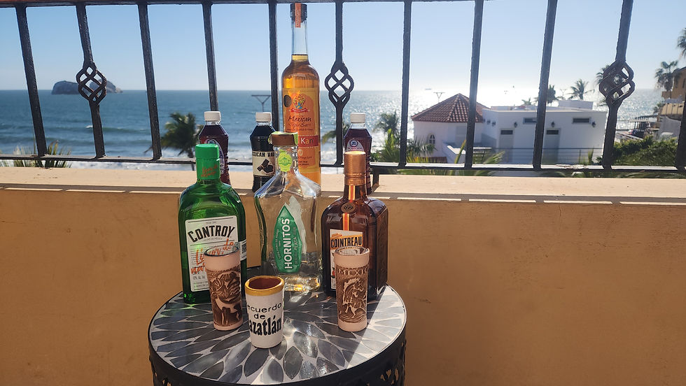 Margarita makings, overlooking the Pacific