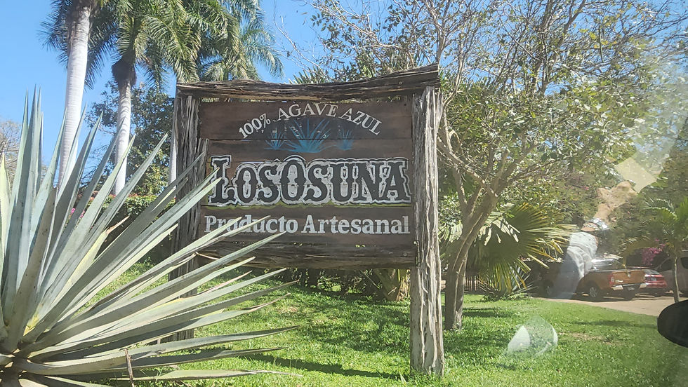 Welcome to Los Osuna