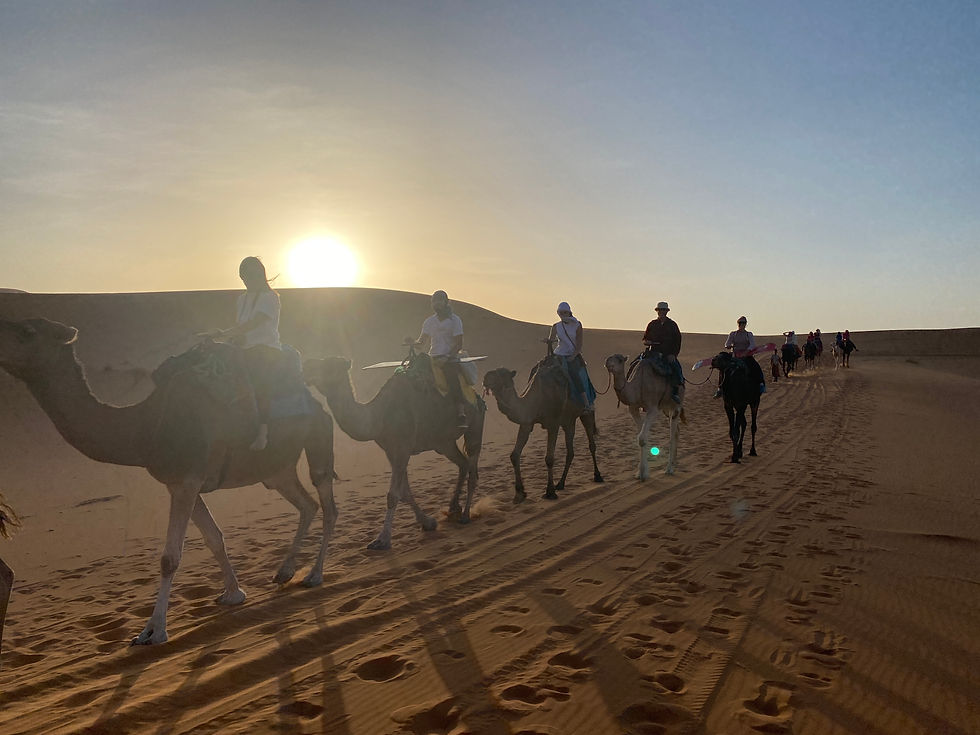 Caravan across Erg Chebbi