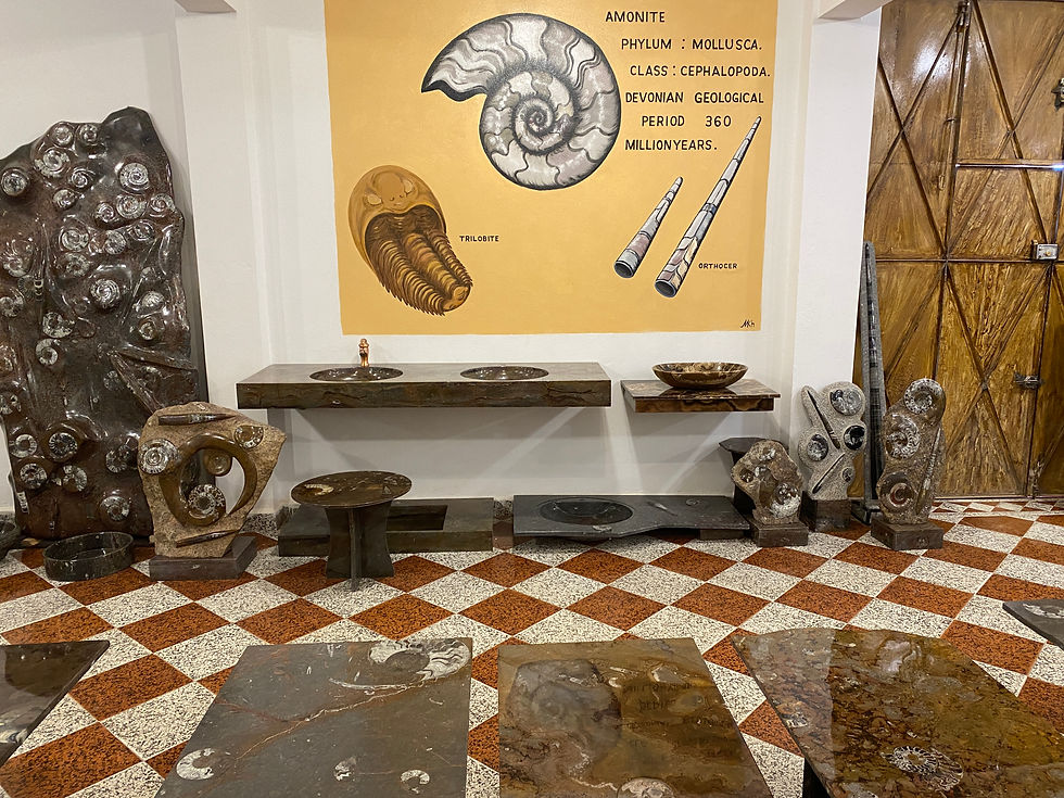 West Morocco is full of Fossils