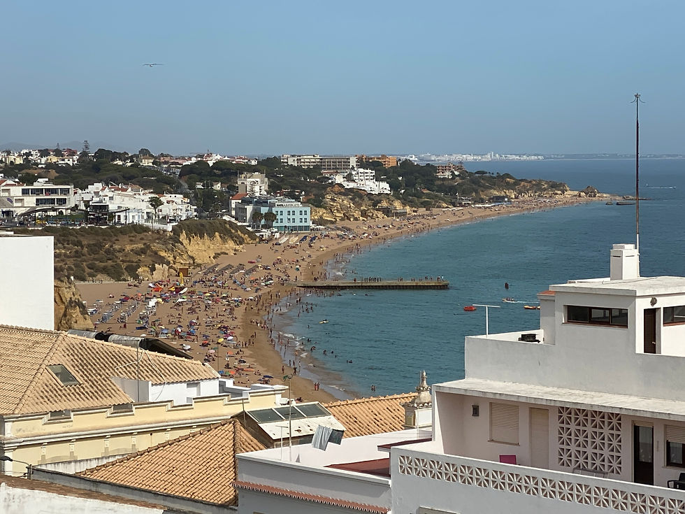 Glorious view of the beach from our windows