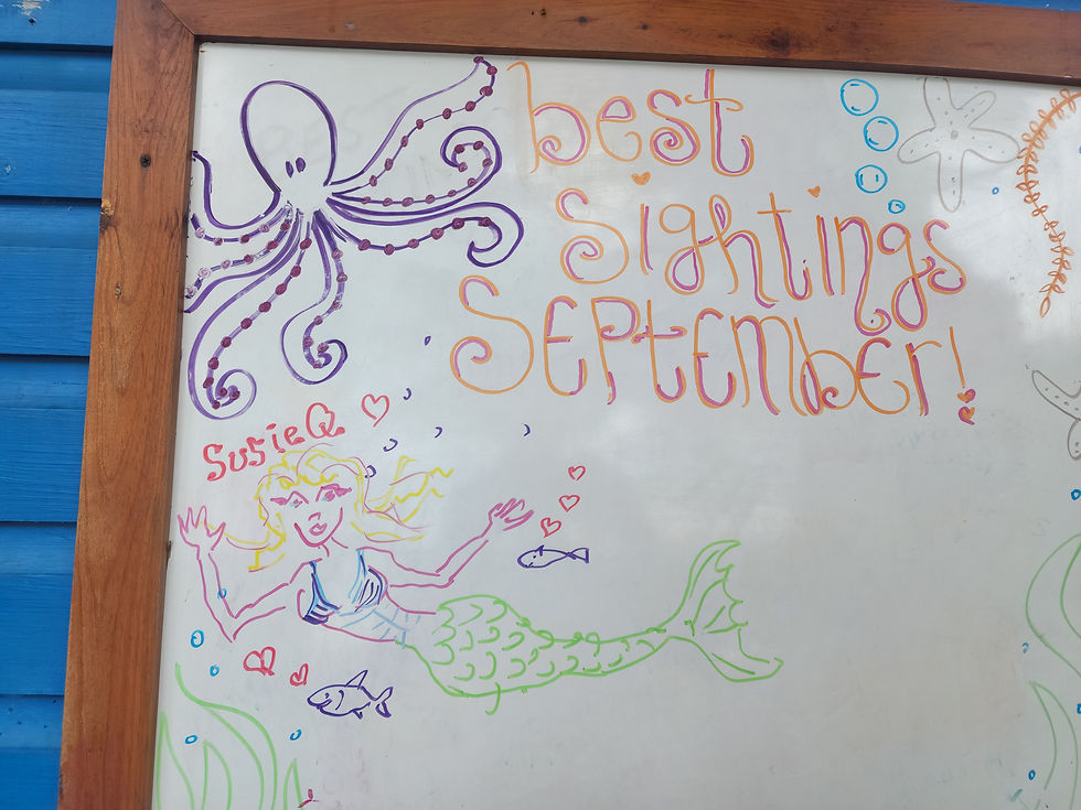 I added some art work...