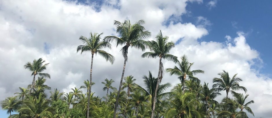 Aloha California – Aloha Hawai’i