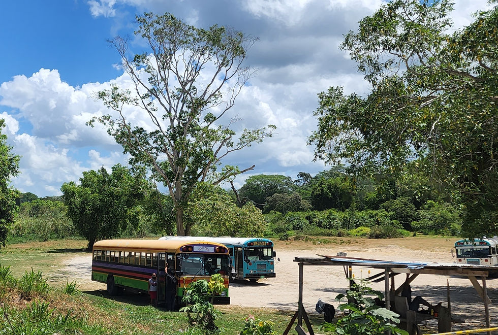 Buses on standby