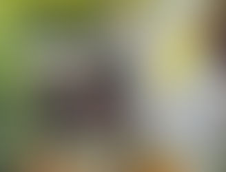 Catching Up in South Fla