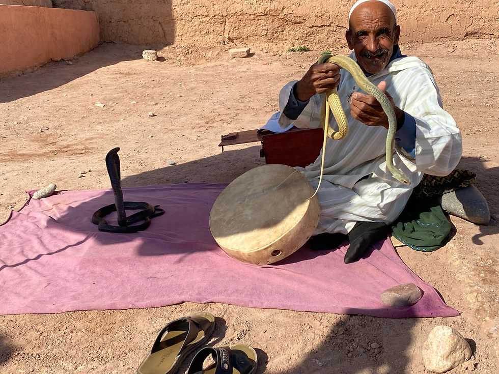 Snake Charmer at Atlas Studios