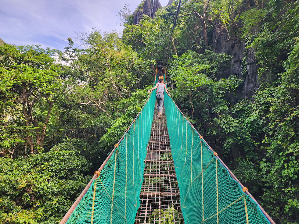 Canopy Tour in El Nido