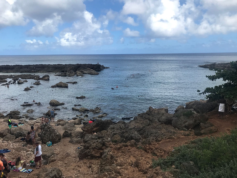 Shark Bay