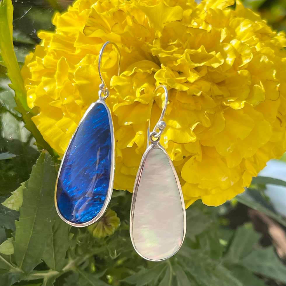 Thumbnail: Abalone Blue / Mother of Pearl Reversible Teardrop Earrings