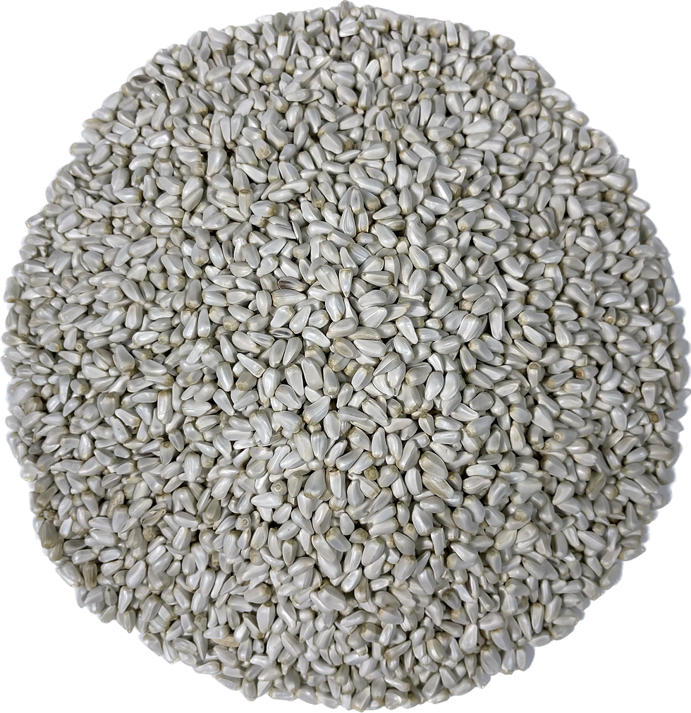 Safflower Seeds, 50lb