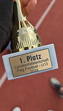 FF 24 LMS Pokal_1.jpg