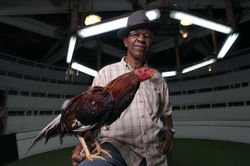 série Véyé Lavi’w ©Robert Charlotte