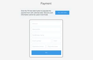 Stripe Payment Processing