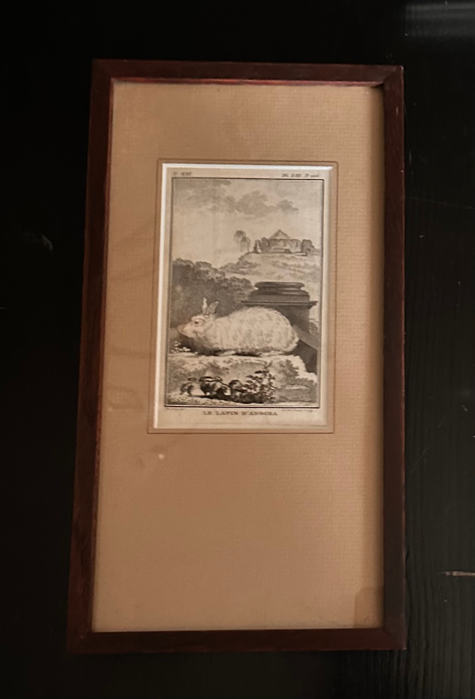 Miniature : Rare série de 5 Gravures originales Jacques de Sève 1756 