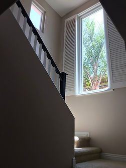 IMG_0524.JPEG