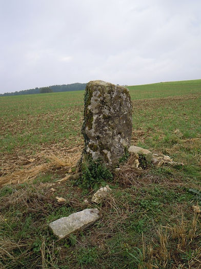 Cromlech du barrois12.jpg