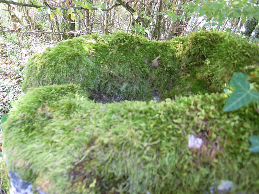 Cromlech du barrois14.jpg
