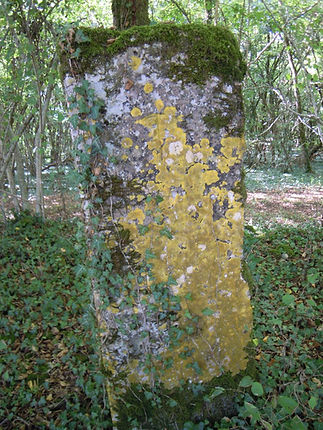 Cromlech du barrois11.jpg