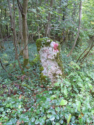 Cromlech du barrois13.jpg